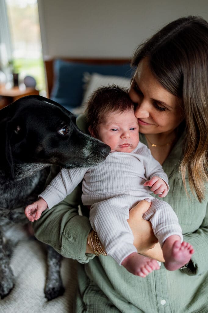 Mom holding newborn baby while dog sniff's baby's face
